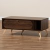 Baxton Studio Edel Mid-Century Modern Walnut Brown and Gold Finished Wood Coffee Table 174-10959-Zoro